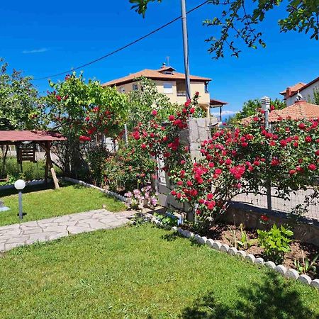 Villa Jenny 렙토카리아 외부 사진