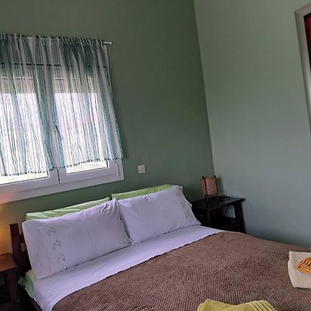 Villa Jenny 렙토카리아 외부 사진