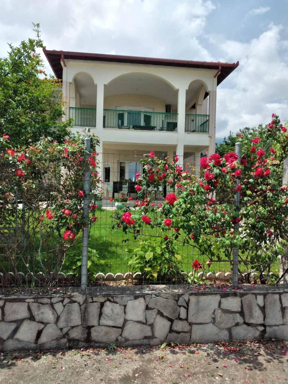 Villa Jenny 렙토카리아 외부 사진