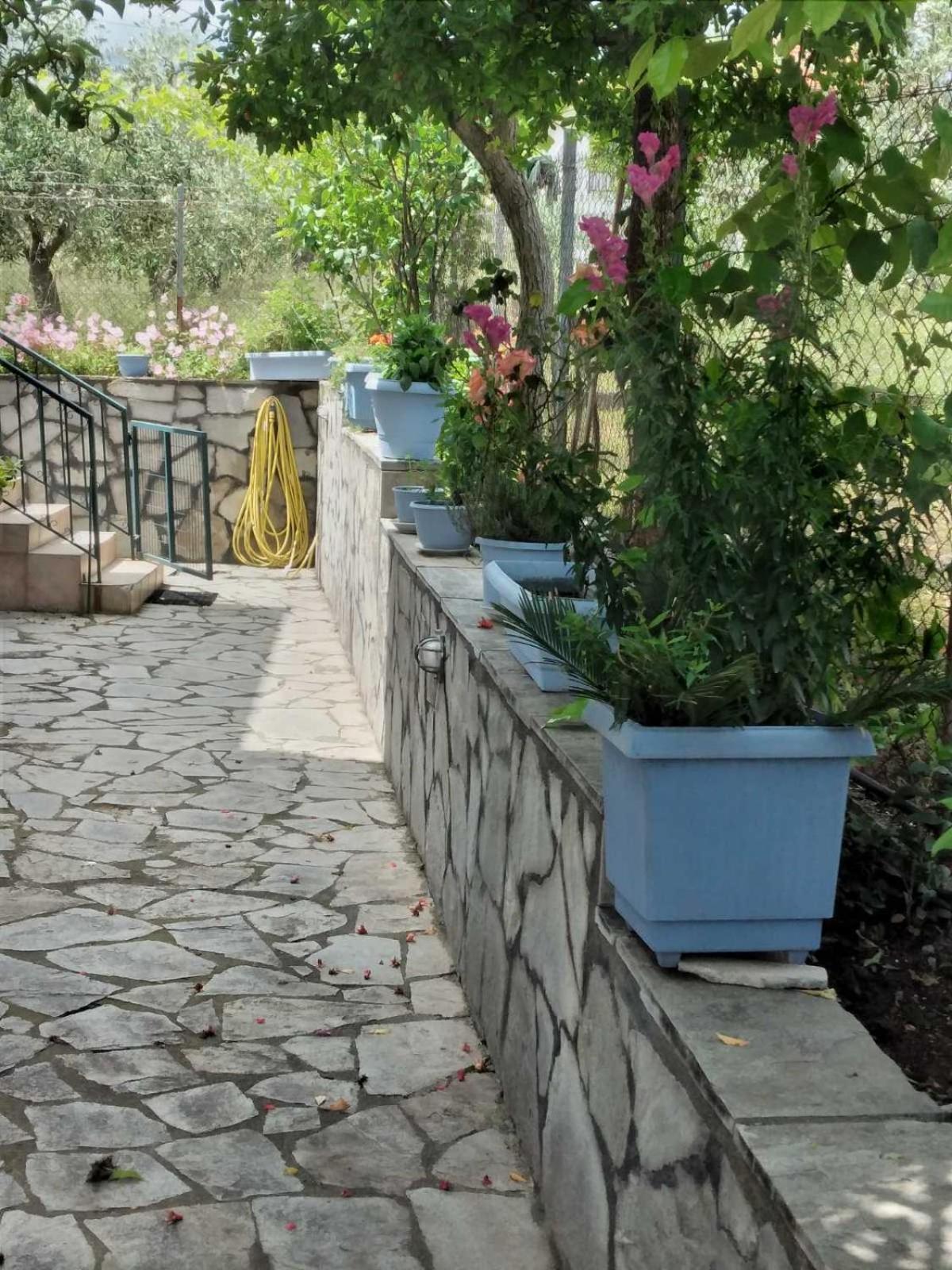 Villa Jenny 렙토카리아 외부 사진