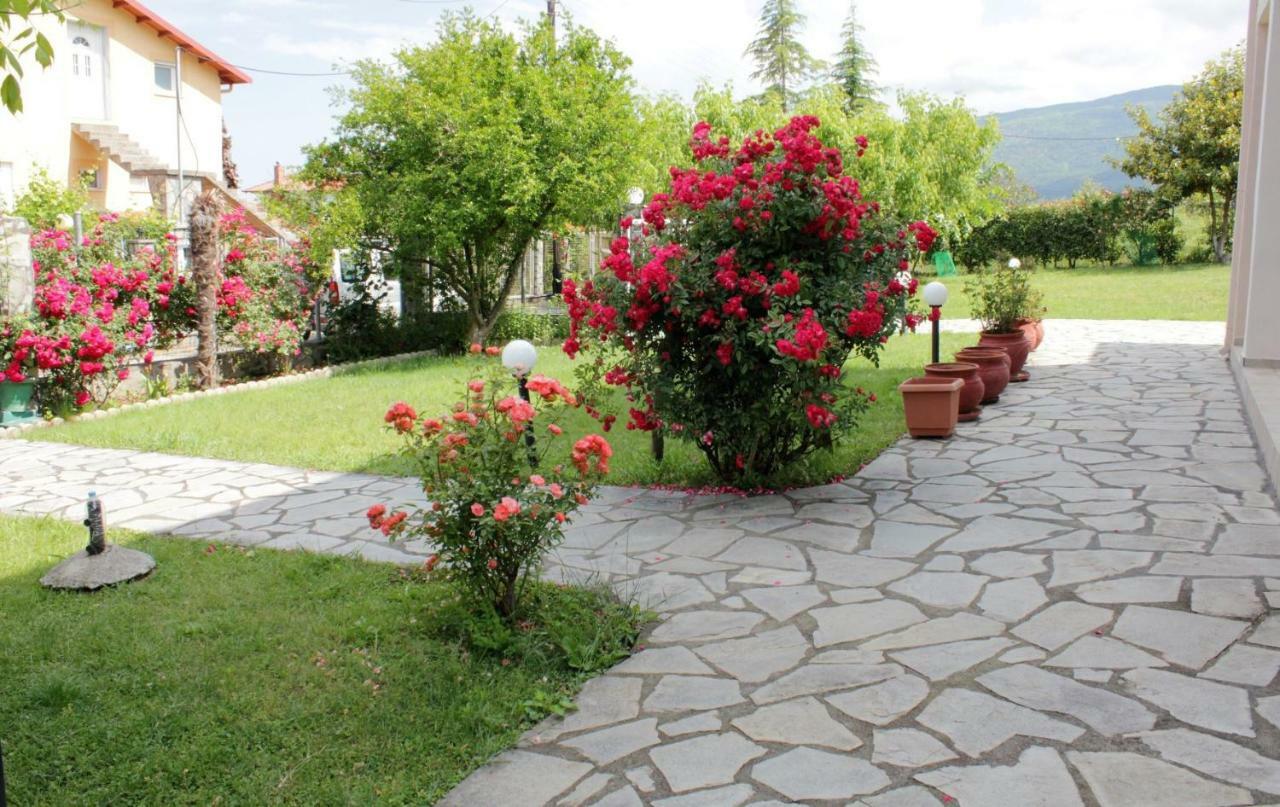 Villa Jenny 렙토카리아 외부 사진